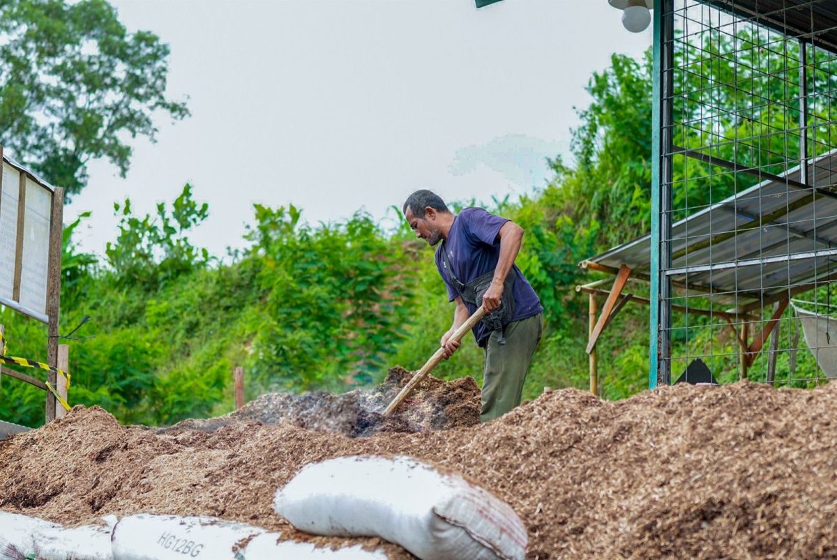 Harta Karun Bioenergi di RI Dapat Perkuat Ketahanan Energi