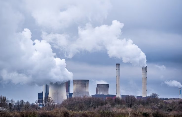 Kemenhut Luncurkan Empat Kebijakan Baru untuk Perdagangan Karbon