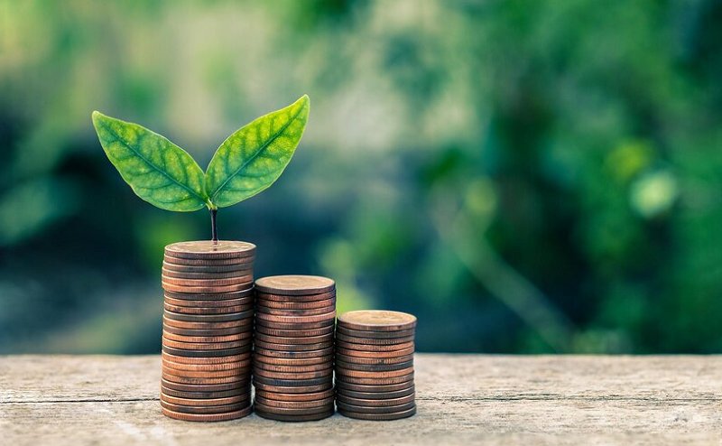 Rating ESG Semakin Penting, Apa Dampaknya untuk Perusahaan