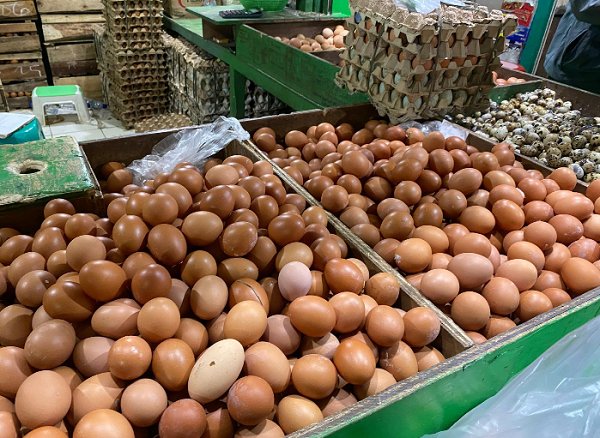 Kementerian Pertanian Utamakan Peternak untuk Stabilkan Harga Telur