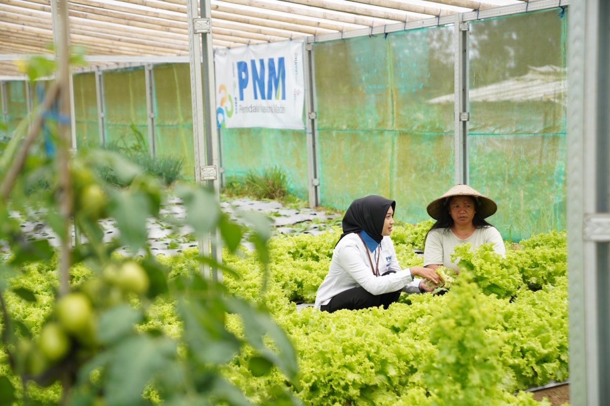 PNM Raih Empat Penghargaan di Indonesia Sustainability Award