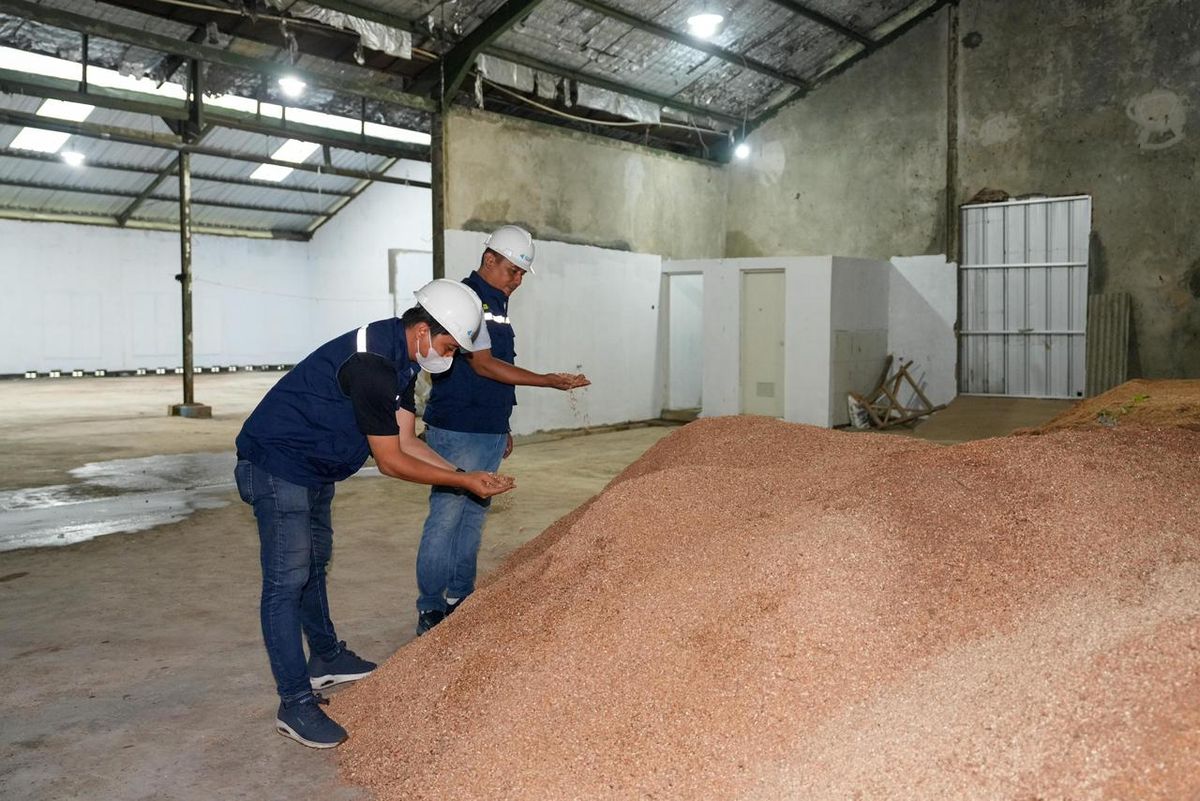 Ekosistem Hidrogen Rendah Karbon di RI Diperkuat dengan Strategi Baru