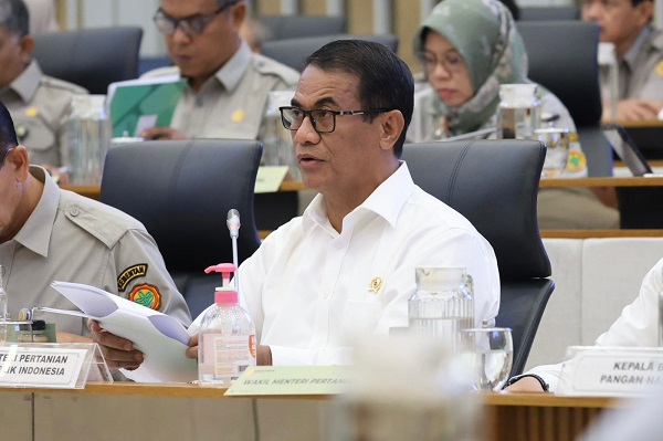 Pemerintah Alokasikan Rp1,3 Triliun Untuk Perkuat Pangan Timur