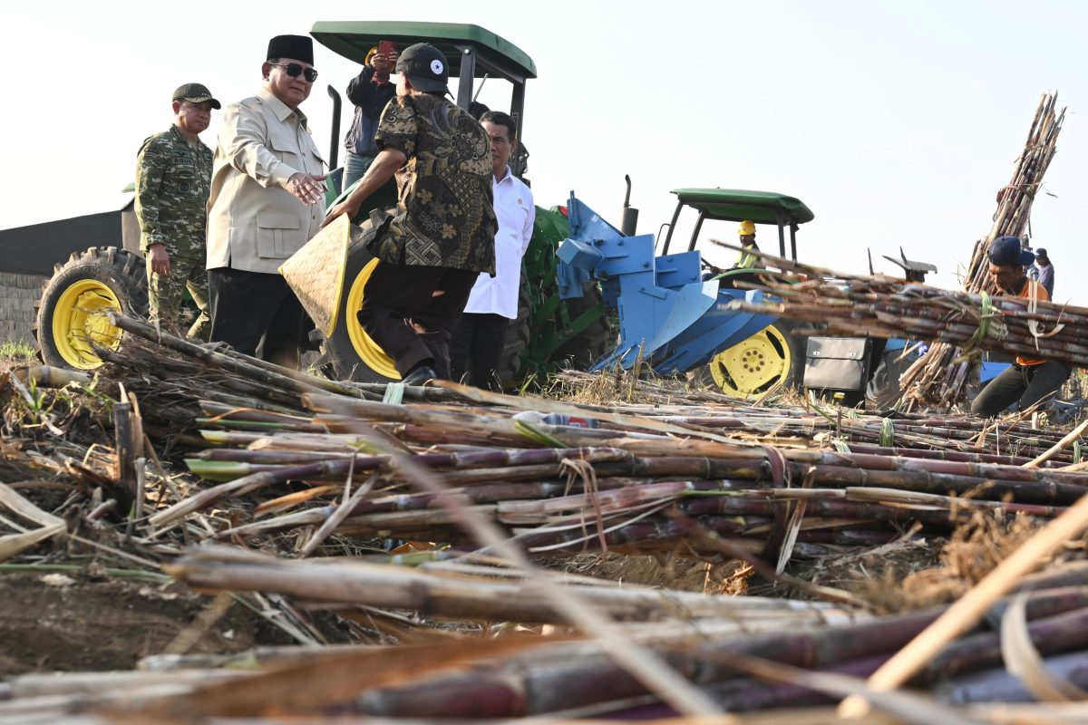 Prabowo Sebut Petani Pahlawan Sejati Pemasok Pangan Kita