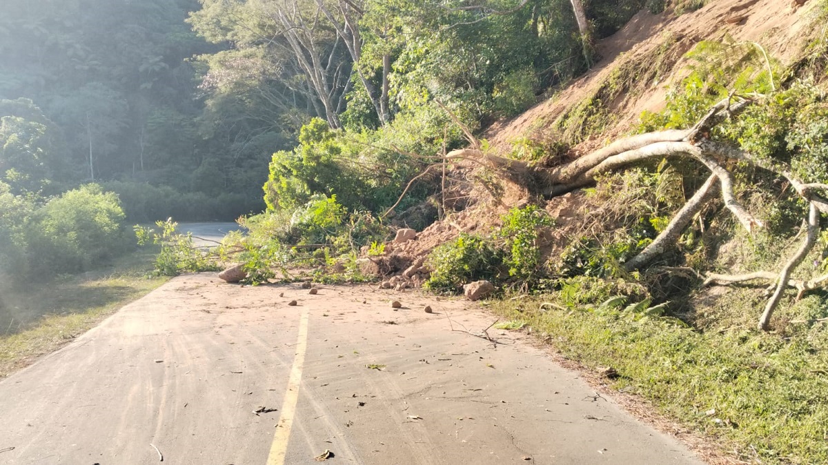 Pemulihan Infrastruktur Vital di NTT Pasca Gempa Jadi Fokus