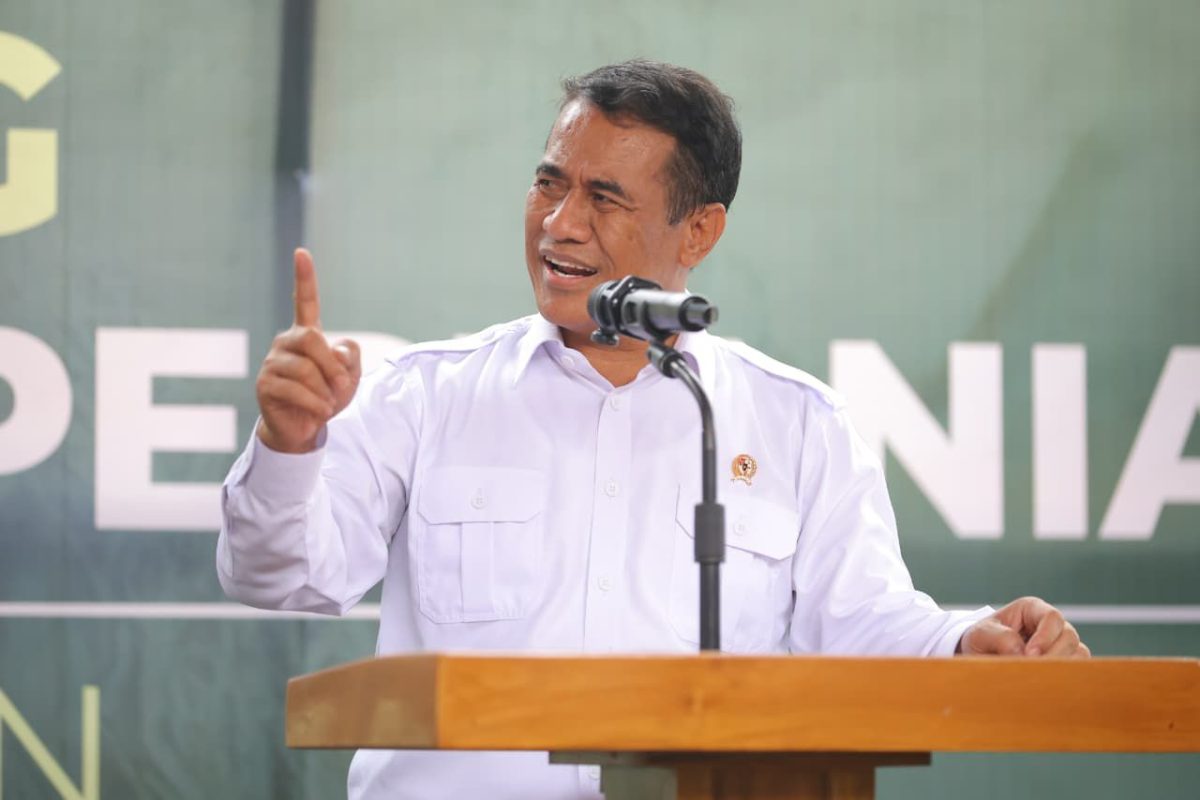 Tantangan Indonesia Dalam Mencapai Swasembada Bawang Putih