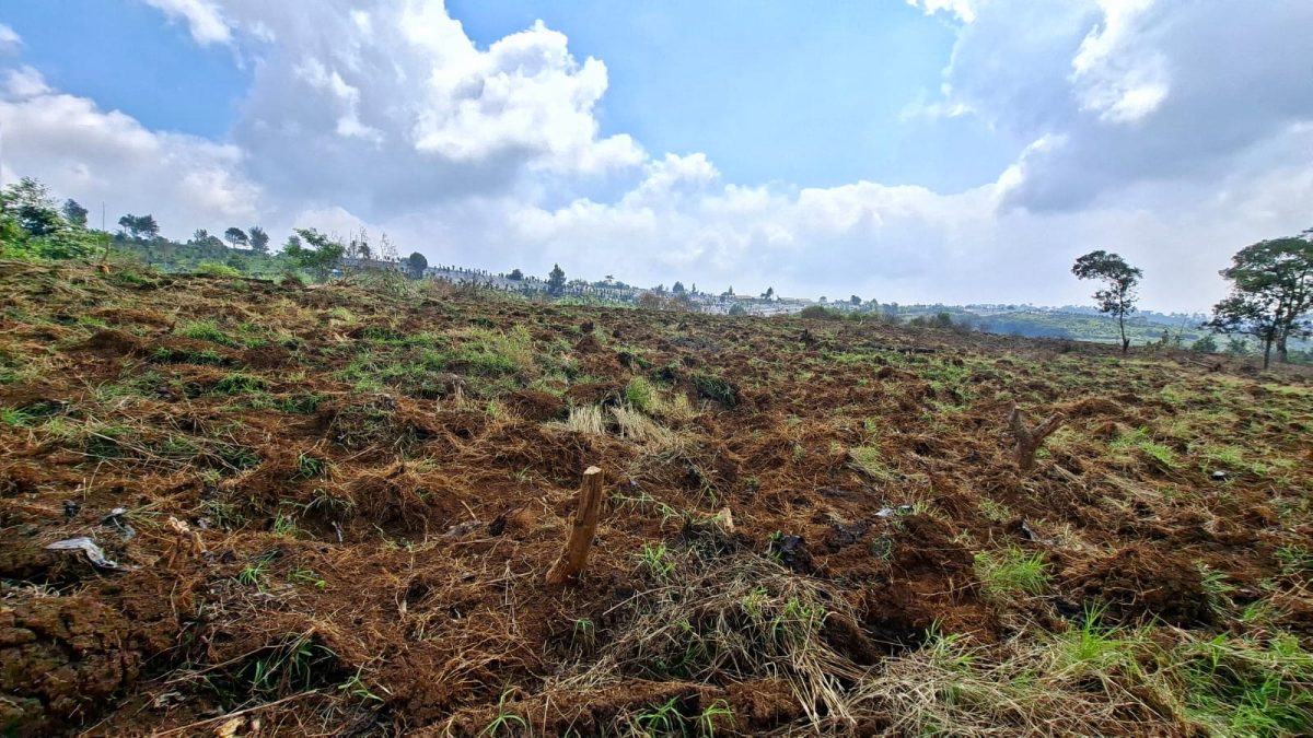 El Nino Pengaruhi Hasil Pertanian, Impor Pangan Diperbolehkan