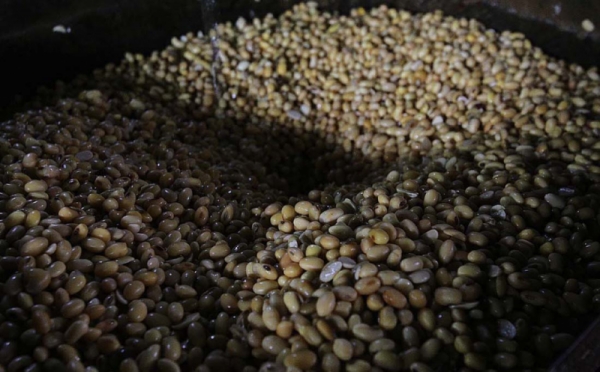 Harga Kedelai Capai Rp13.700 Per Kg, Pemerintah Pertimbangkan Subsidi